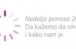Nedelja ponosa 2014