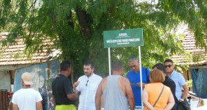 Mreža besplatne pravne pomoći CHRIS za Rome – aktivnosti u Nišu