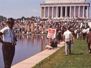 Slobodna Zona u Beogradu, Novom Sadu i Nišu: filmovi koji preispituju