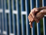 Struka protiv kazne doživotnog zatvora bez prava na uslovni otpust